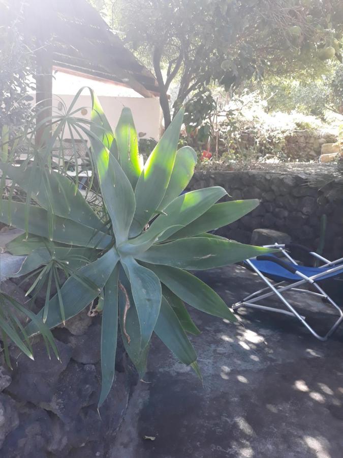 Stromboliparadise Piscita מראה חיצוני תמונה