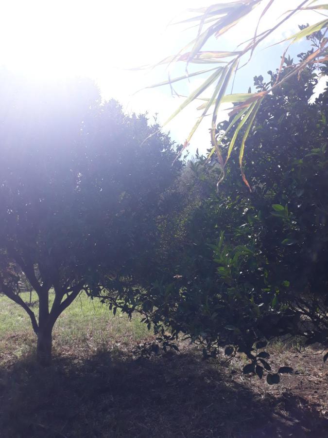 Stromboliparadise Piscita מראה חיצוני תמונה