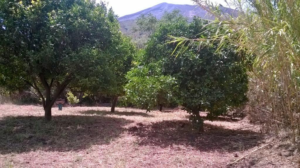 Stromboliparadise Piscita מראה חיצוני תמונה