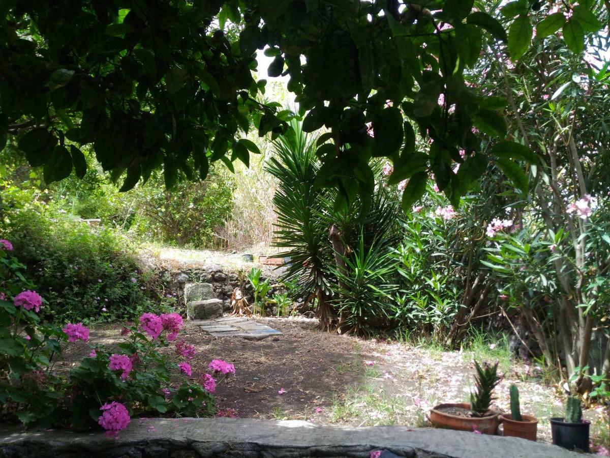 Stromboliparadise Piscita מראה חיצוני תמונה